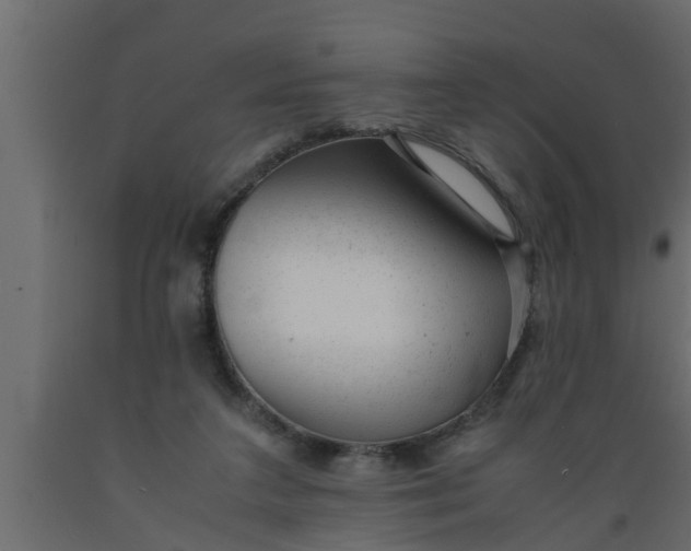 X0000089450211200707061249