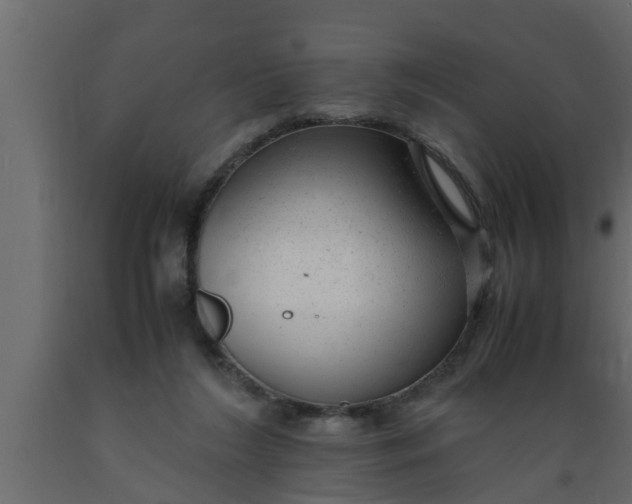 X0000089450212200707061249