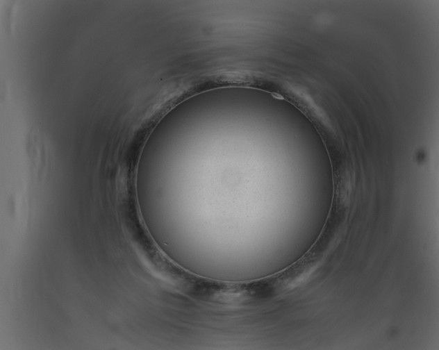 X0000089450213200707061249