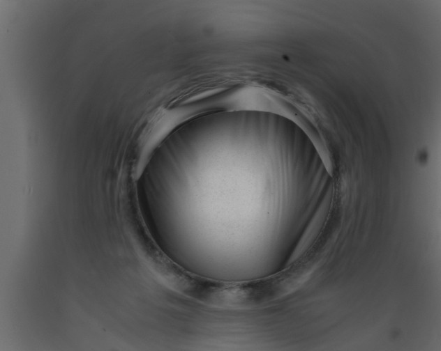 X0000089450217200707061249