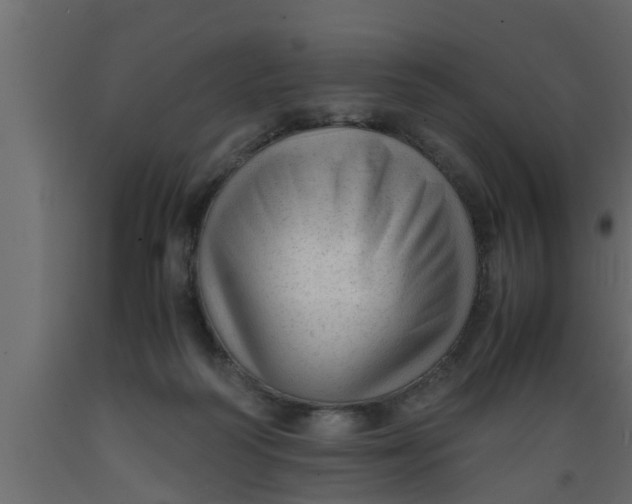 X0000089450218200707061249