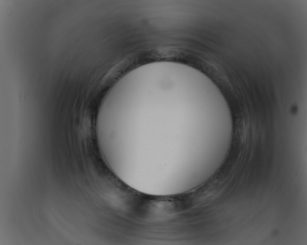 X0000089450220200707061249