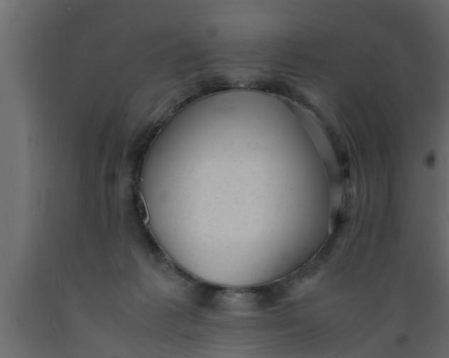 X0000089450221200707061249