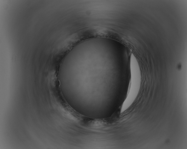 X0000089450223200707061249