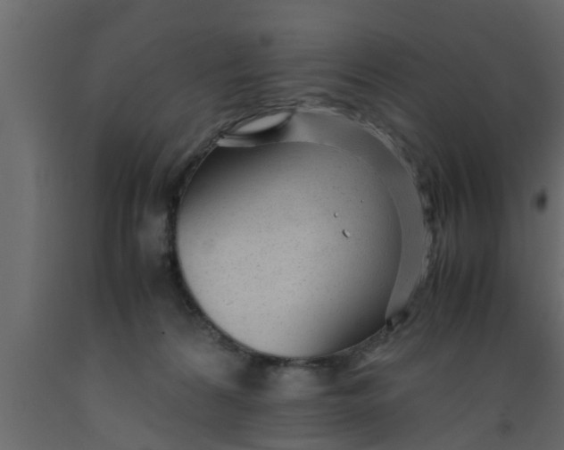 X0000089450224200707061249