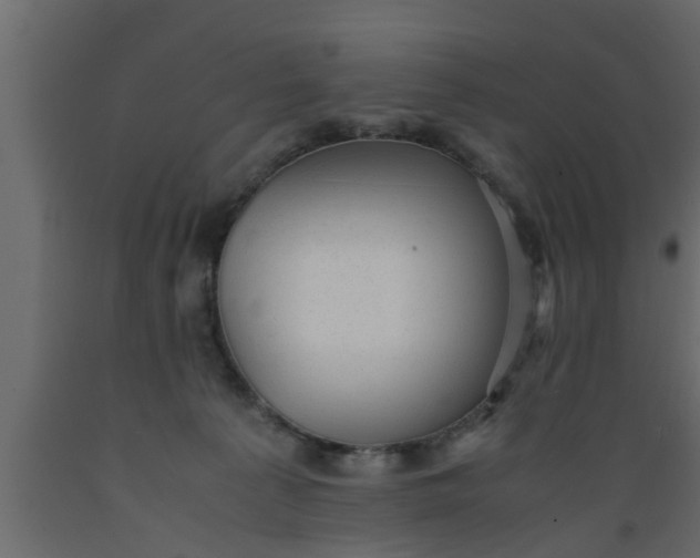 X0000089450225200707061249