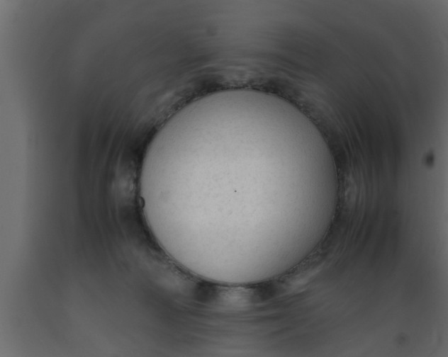 X0000089450226200707061249