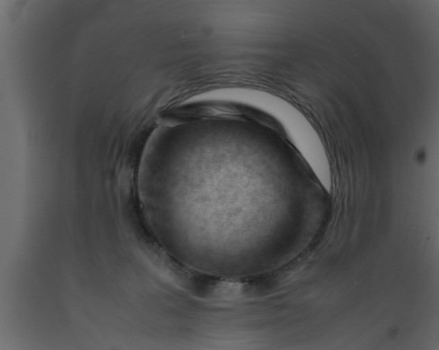 X0000089450227200707061249