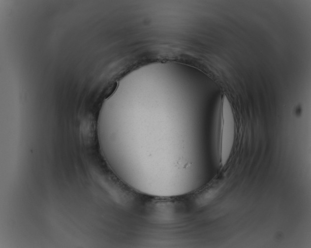 X0000089450228200707061249