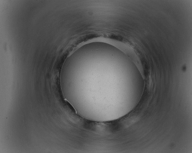 X0000089450229200707061249