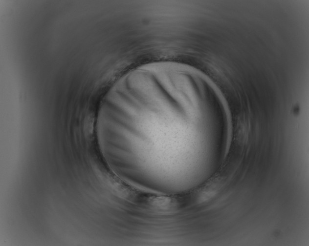 X0000089450230200707061249