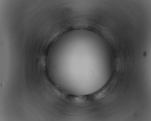 X0000089450232200707061249