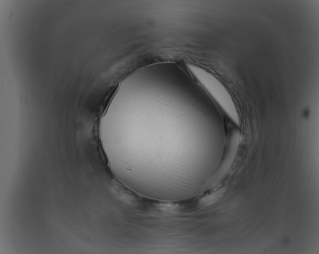 X0000089450233200707061249