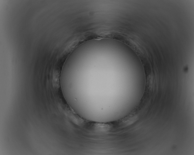 X0000089450234200707061249