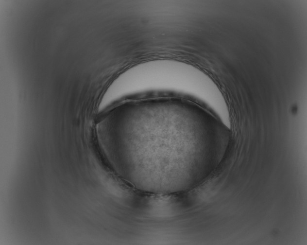 X0000089450235200707061248