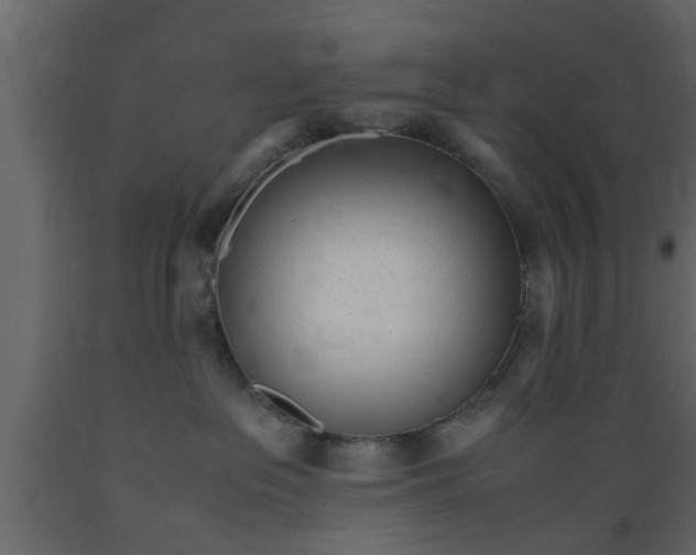 X0000089450237200707061248