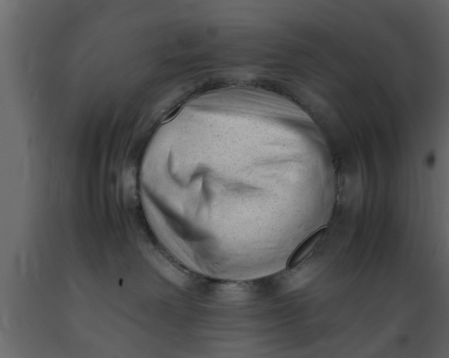 X0000089450238200707061248