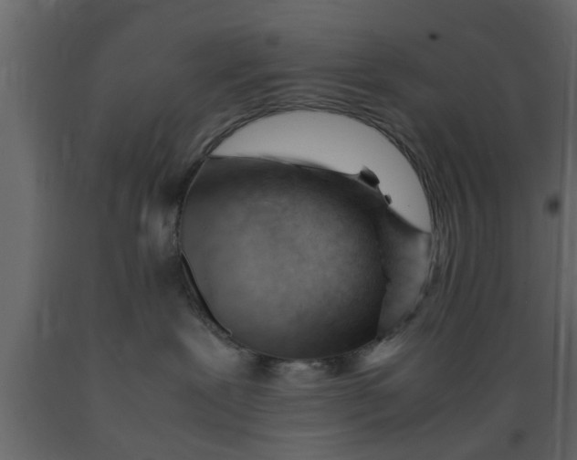 X0000089450239200707061248