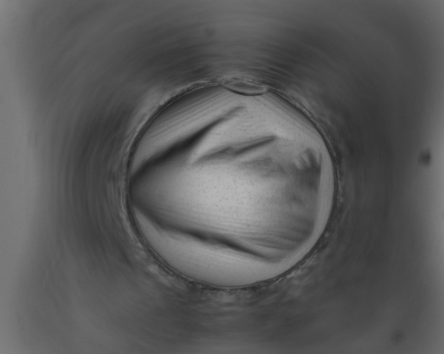 X0000089450241200707061248