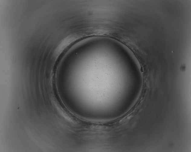 X0000089450242200707061248