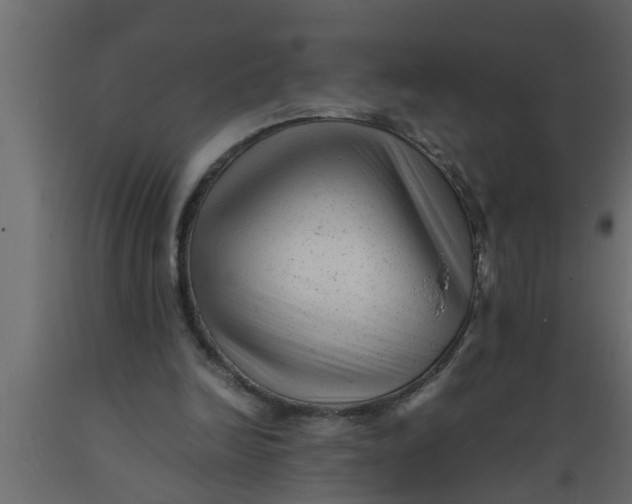 X0000089450246200707061248