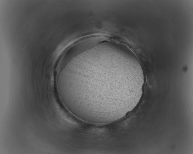 X0000089450247200707061248