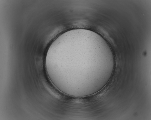 X0000089450250200707061248