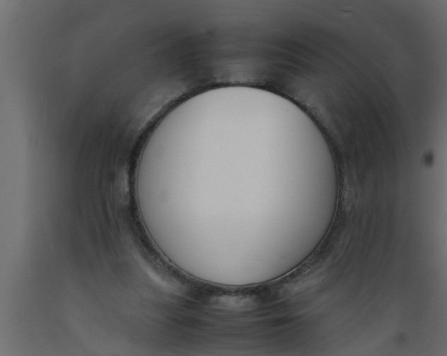 X0000089450251200707061248