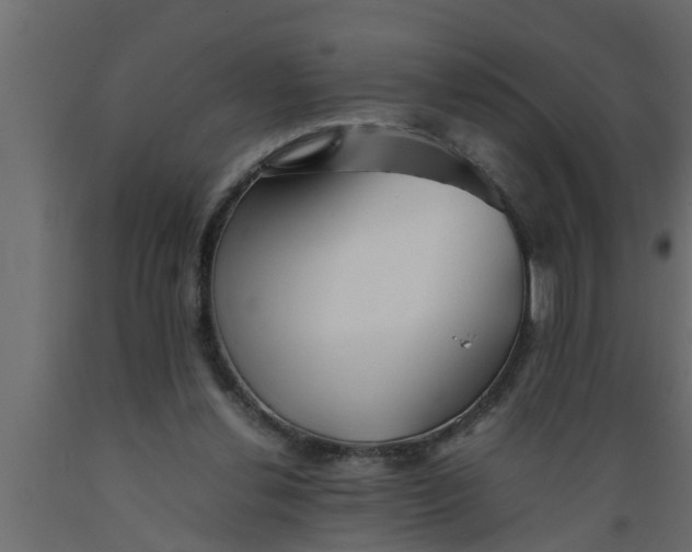 X0000089450252200707061248