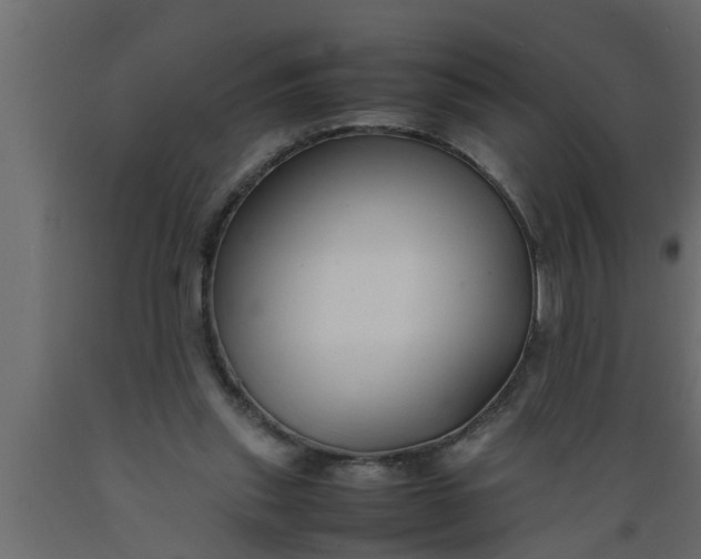 X0000089450253200707061248