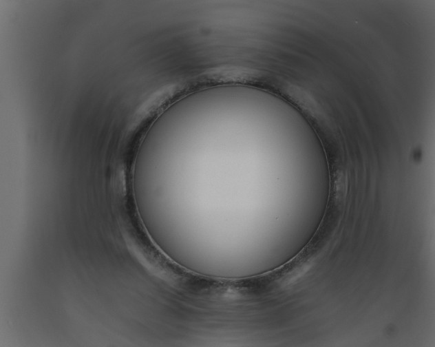 X0000089450254200707061248