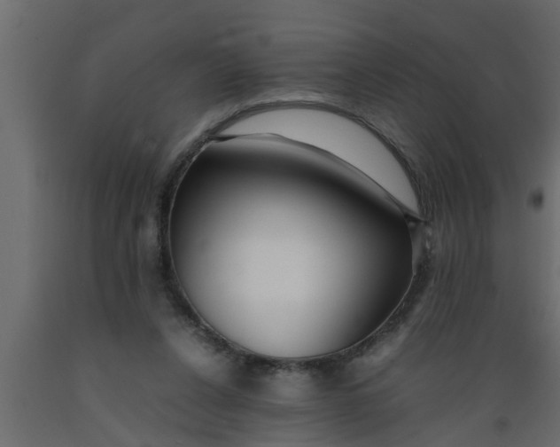 X0000089450256200707061248