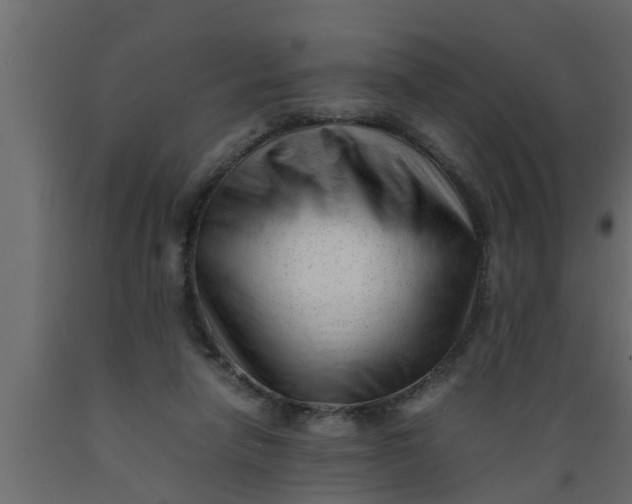 X0000089450258200707061248