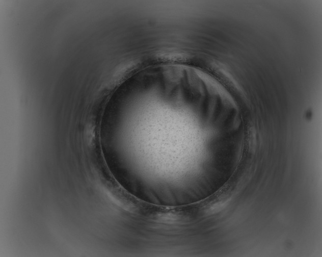 X0000089450259200707061248