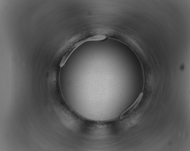 X0000089450260200707061248