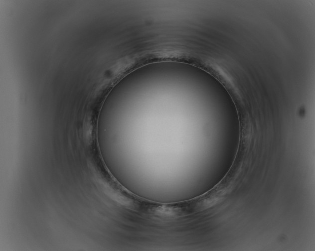 X0000089450261200707061248