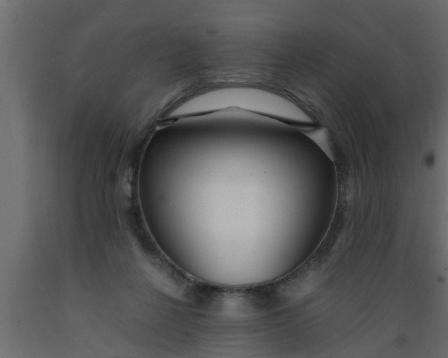 X0000089450264200707061248