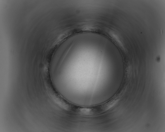 X0000089450265200707061248