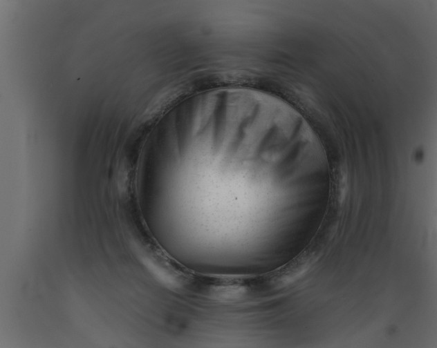 X0000089450266200707061248