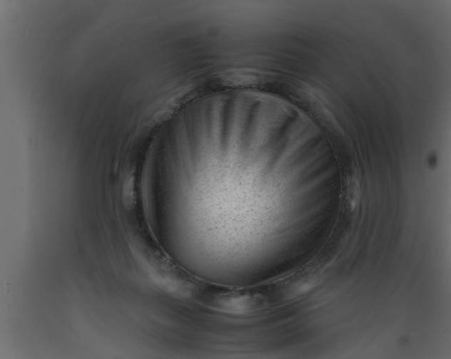 X0000089450267200707061248