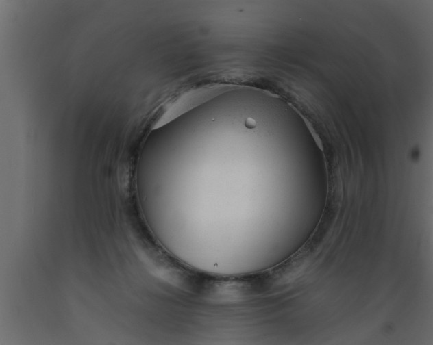 X0000089450268200707061248