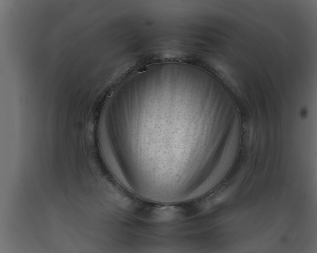 X0000089450269200707061248