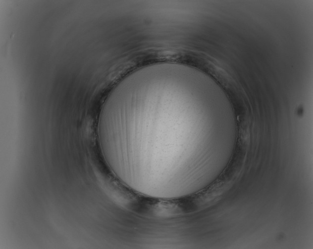 X0000089450270200707061248