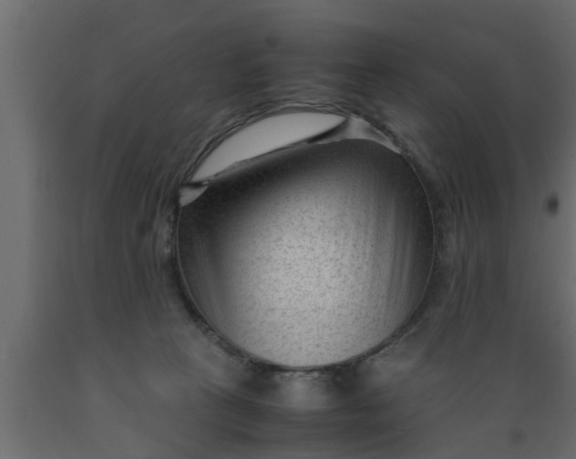 X0000089450273200707061248