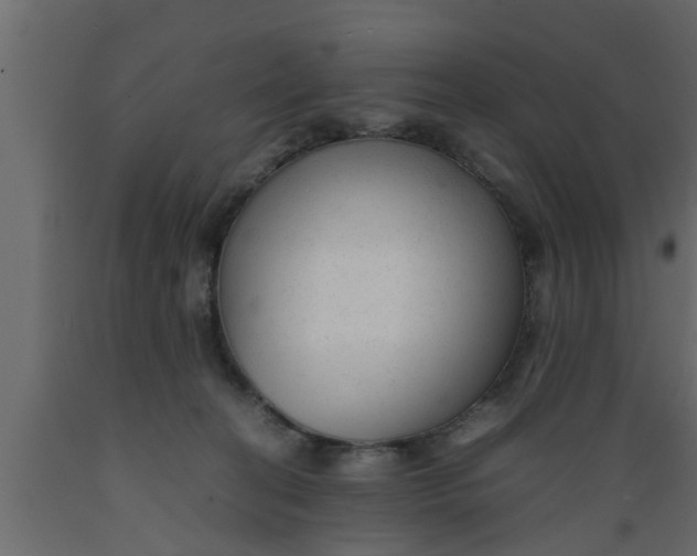 X0000089450274200707061248