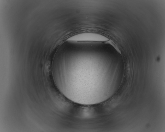 X0000089450275200707061248