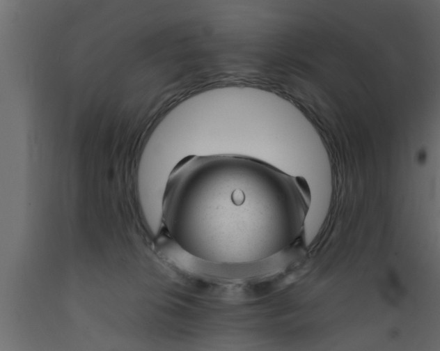 X0000089450276200707061248