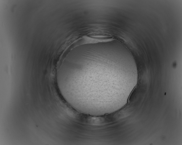 X0000089450277200707061248