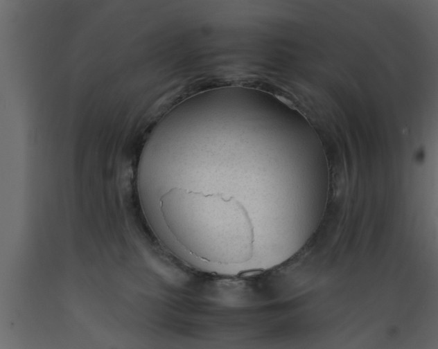 X0000089450279200707061248