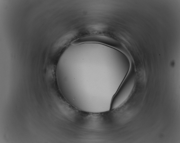 X0000089450280200707061248